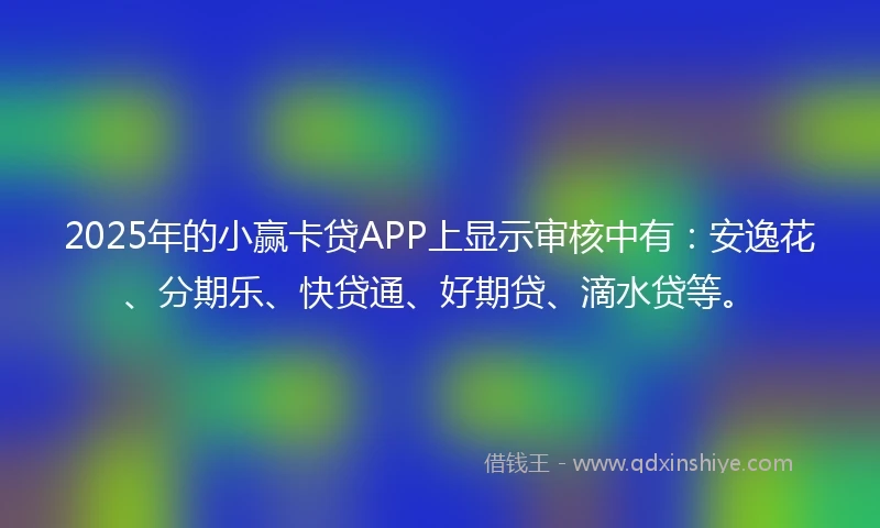 2025年的小赢卡贷APP上显示审核中有：安逸花、分期乐、快贷通、好期贷、滴水贷等。