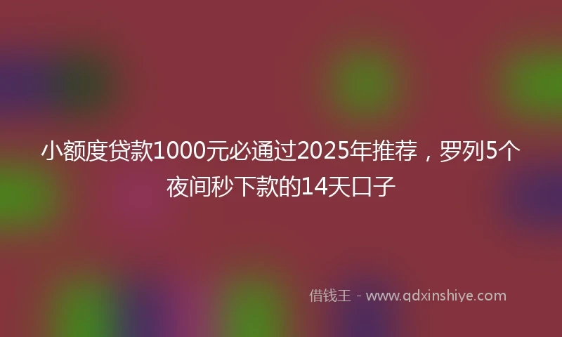 小额度贷款1000元必通过2025年推荐，罗列5个夜间秒下款的14天口子