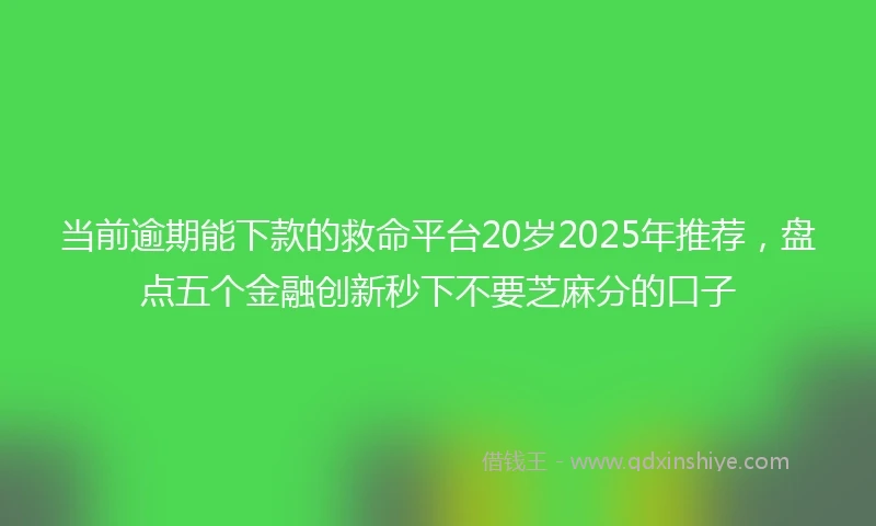 当前逾期能下款的救命平台20岁2025年推荐，盘点五个金融创新秒下不要芝麻分的口子