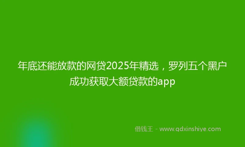 年底还能放款的网贷2025年精选，罗列五个黑户成功获取大额贷款的app