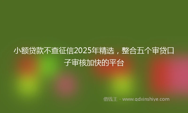 小额贷款不查征信2025年精选，整合五个审贷口子审核加快的平台