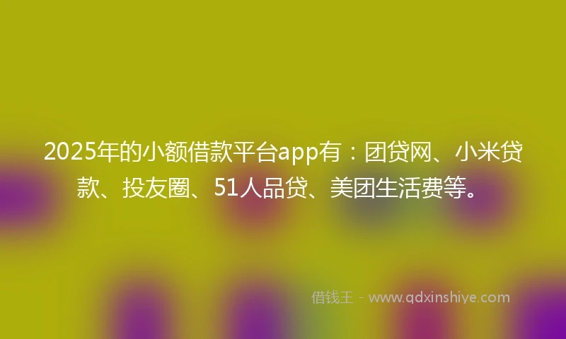 2025年的小额借款平台app有：团贷网、小米贷款、投友圈、51人品贷、美团生活费等。
