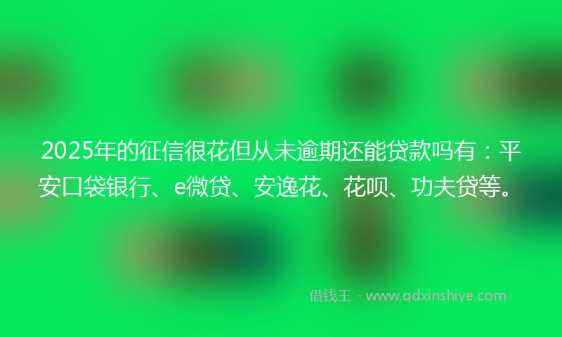 2025年的征信很花但从未逾期还能贷款吗有:平安口袋银行、e微贷、安逸花、花呗、功夫贷等。