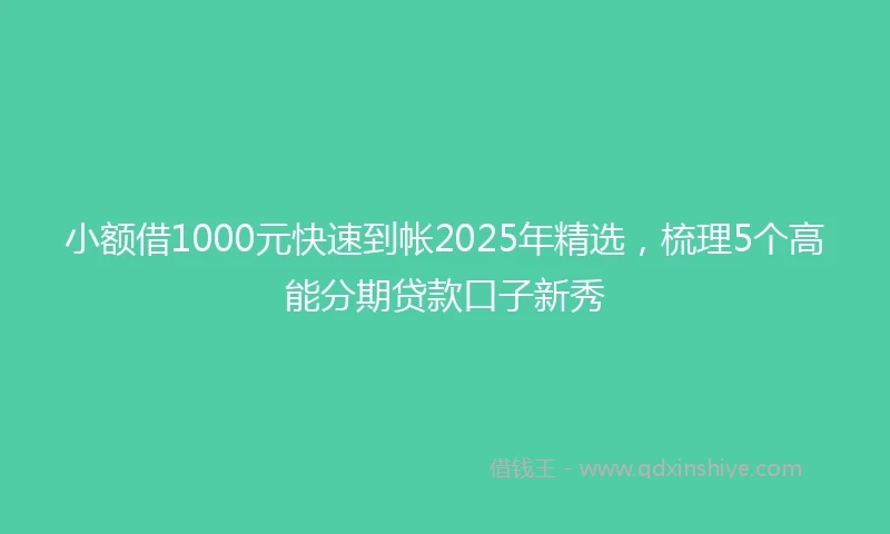 小额借1000元快速到帐2025年精选，梳理5个高能分期贷款口子新秀
