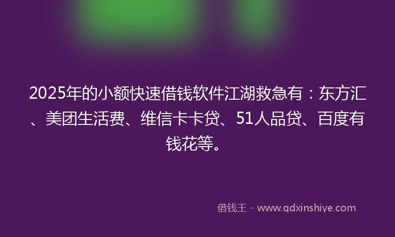 2025年的小额快速借钱软件江湖救急有：东方汇、美团生活费、维信卡卡贷、51人品贷、百度有钱花等。