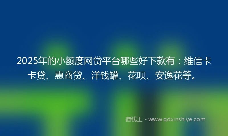 2025年的小额度网贷平台哪些好下款有：维信卡卡贷、惠商贷、洋钱罐、花呗、安逸花等。