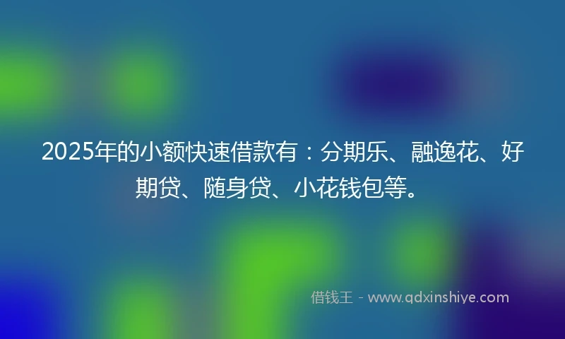 2025年的小额快速借款有：分期乐、融逸花、好期贷、随身贷、小花钱包等。