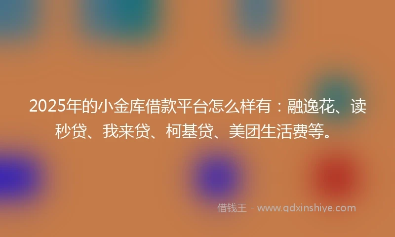 2025年的小金库借款平台怎么样有：融逸花、读秒贷、我来贷、柯基贷、美团生活费等。