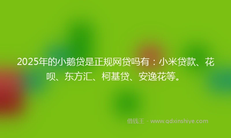2025年的小鹅贷是正规网贷吗有：小米贷款、花呗、东方汇、柯基贷、安逸花等。