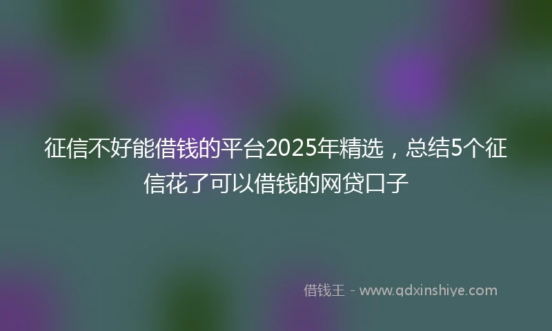 征信不好能借钱的平台2025年精选，总结5个征信花了可以借钱的网贷口子