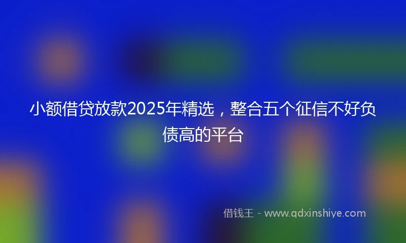 小额借贷放款2025年精选，整合五个征信不好负债高的平台