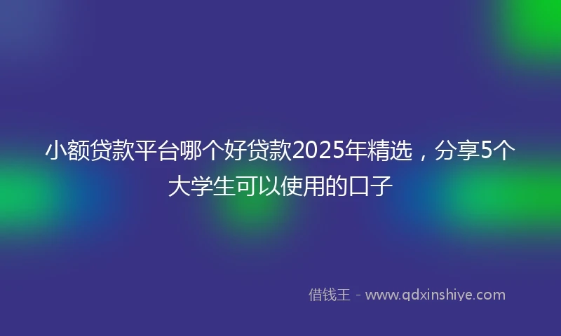 小额贷款平台哪个好贷款2025年精选，分享5个大学生可以使用的口子