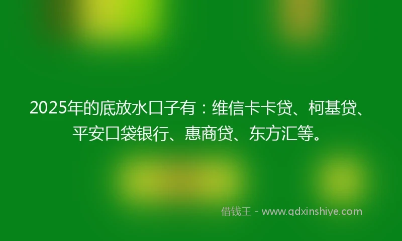 2025年的底放水口子有：维信卡卡贷、柯基贷、平安口袋银行、惠商贷、东方汇等。