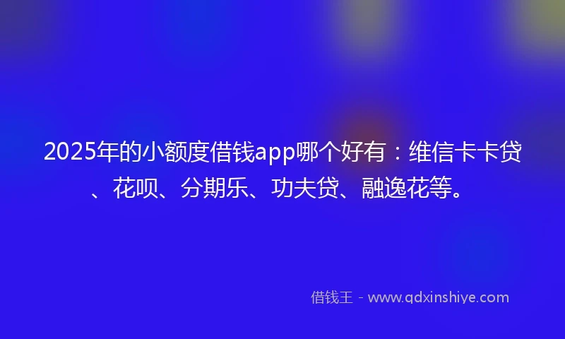 2025年的小额度借钱app哪个好有：维信卡卡贷、花呗、分期乐、功夫贷、融逸花等。