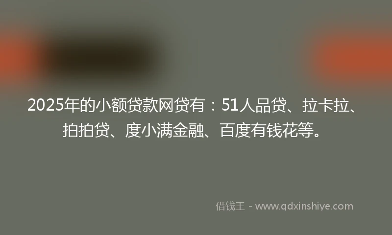 2025年的小额贷款网贷有：51人品贷、拉卡拉、拍拍贷、度小满金融、百度有钱花等。