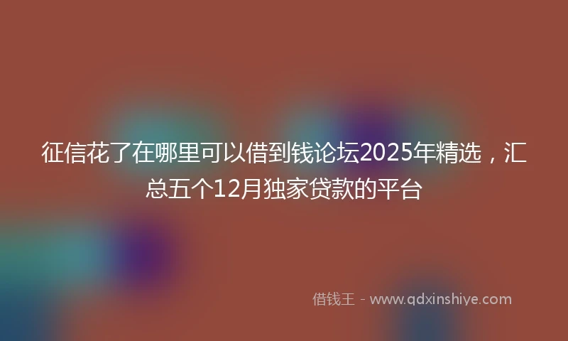 征信花了在哪里可以借到钱论坛2025年精选，汇总五个12月独家贷款的平台