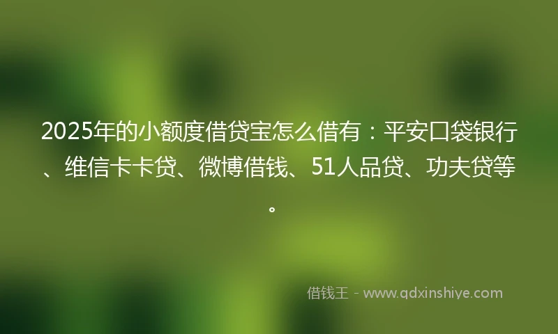 2025年的小额度借贷宝怎么借有:平安口袋银行、维信卡卡贷、微博借钱、51人品贷、功夫贷等。