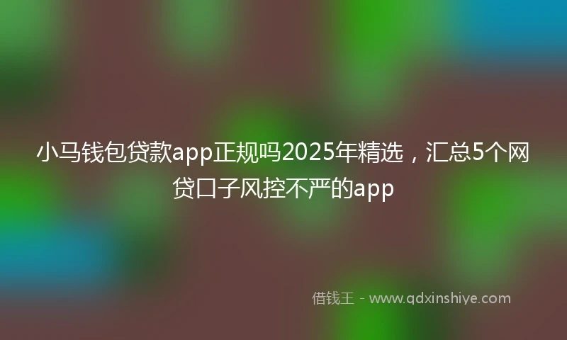 小马钱包贷款app正规吗2025年精选，汇总5个网贷口子风控不严的app