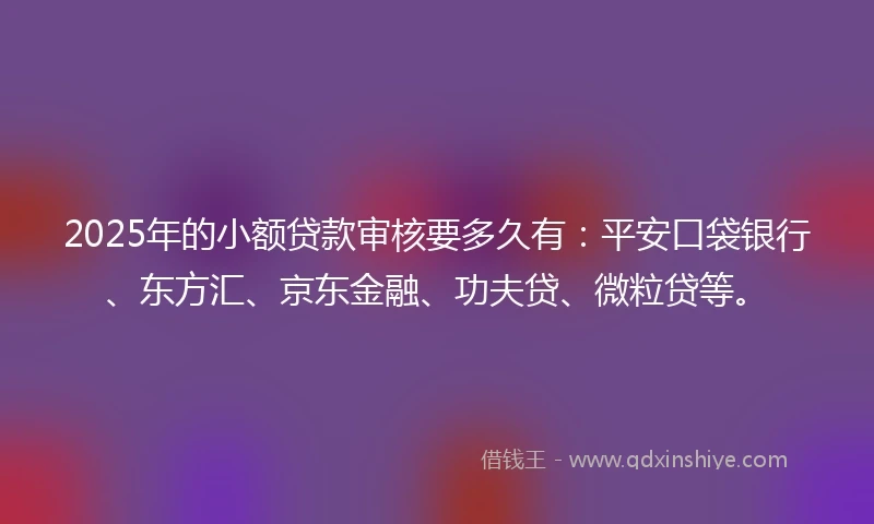 2025年的小额贷款审核要多久有：平安口袋银行、东方汇、京东金融、功夫贷、微粒贷等。