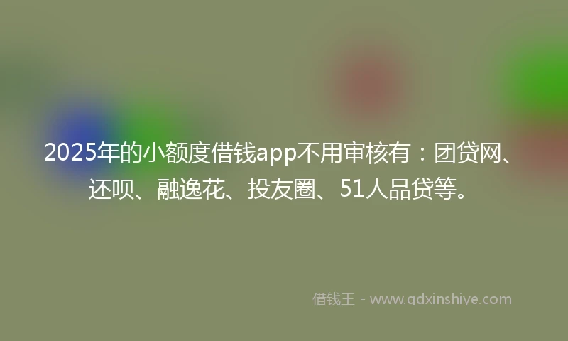 2025年的小额度借钱app不用审核有：团贷网、还呗、融逸花、投友圈、51人品贷等。