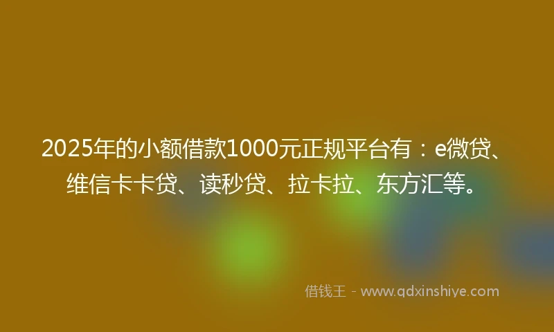 2025年的小额借款1000元正规平台有：e微贷、维信卡卡贷、读秒贷、拉卡拉、东方汇等。