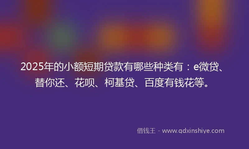 2025年的小额短期贷款有哪些种类有：e微贷、替你还、花呗、柯基贷、百度有钱花等。