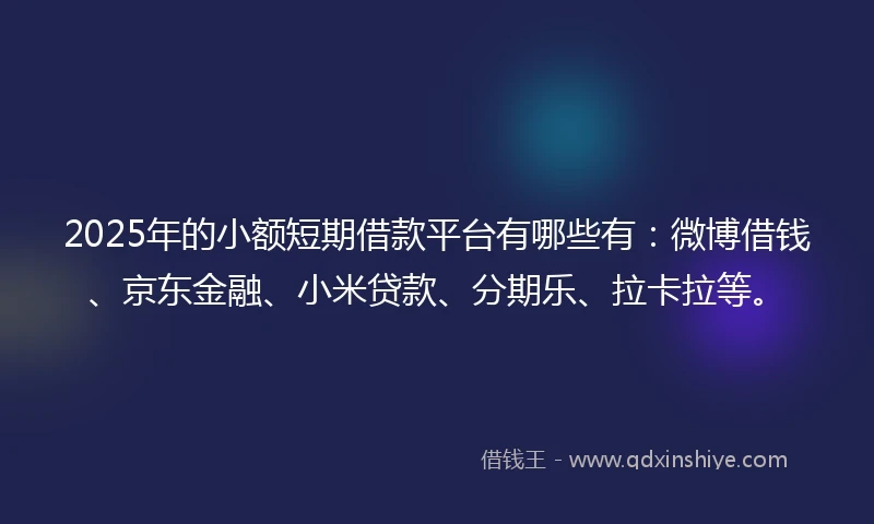 2025年的小额短期借款平台有哪些有：微博借钱、京东金融、小米贷款、分期乐、拉卡拉等。