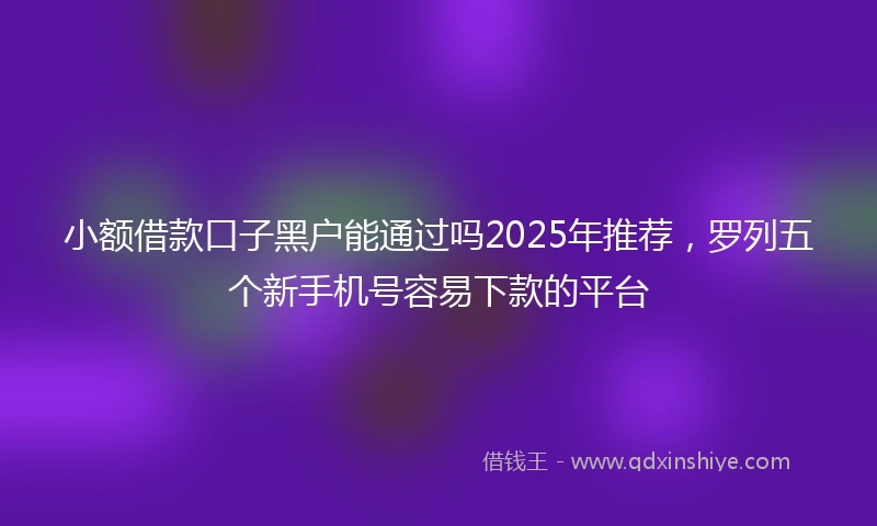 小额借款口子黑户能通过吗2025年推荐，罗列五个新手机号容易下款的平台