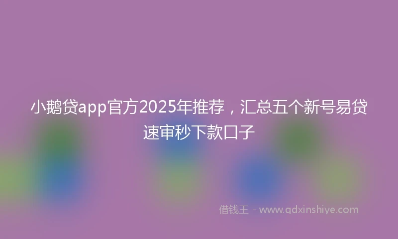 小鹅贷app官方2025年推荐，汇总五个新号易贷速审秒下款口子