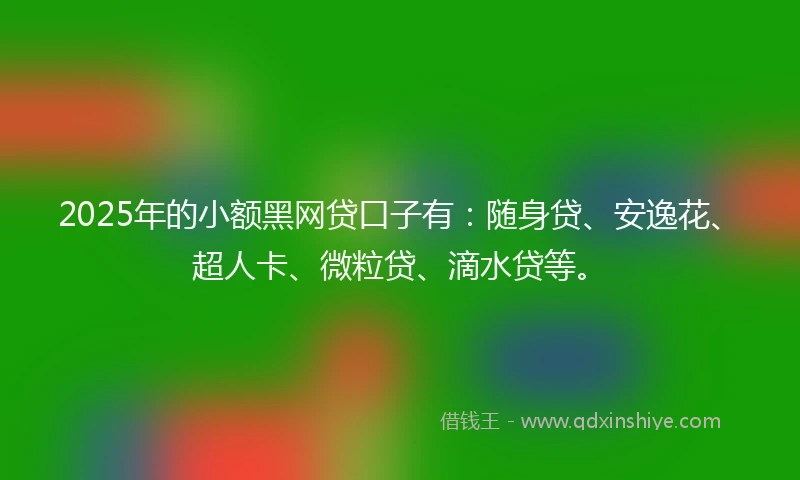 2025年的小额黑网贷口子有：随身贷、安逸花、超人卡、微粒贷、滴水贷等。