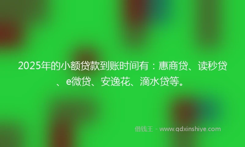 2025年的小额贷款到账时间有：惠商贷、读秒贷、e微贷、安逸花、滴水贷等。
