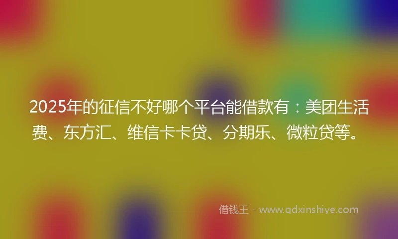 2025年的征信不好哪个平台能借款有:美团生活费、东方汇、维信卡卡贷、分期乐、微粒贷等。