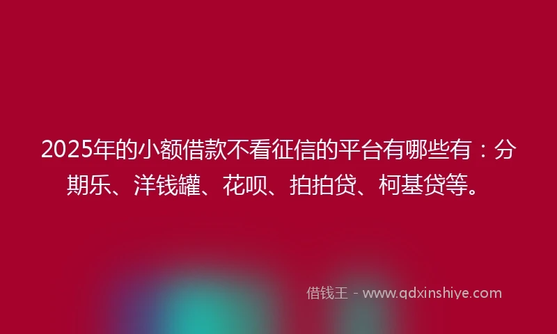 2025年的小额借款不看征信的平台有哪些有：分期乐、洋钱罐、花呗、拍拍贷、柯基贷等。