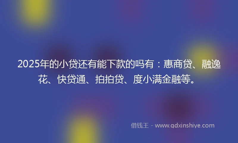 2025年的小贷还有能下款的吗有：惠商贷、融逸花、快贷通、拍拍贷、度小满金融等。