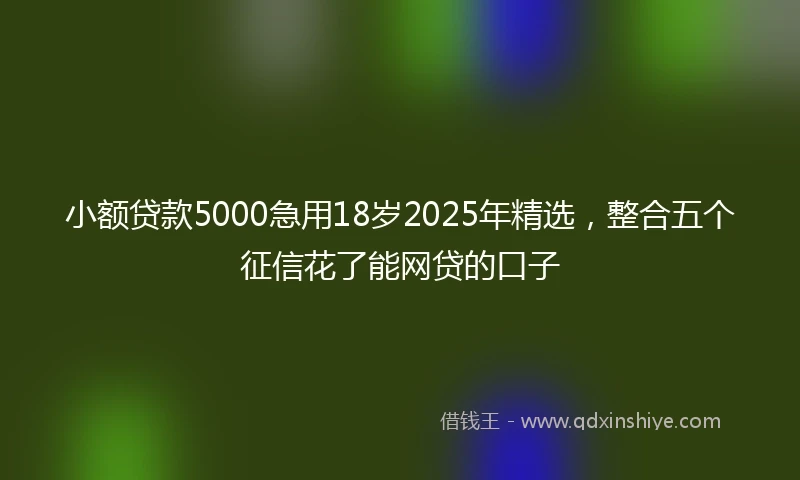 小额贷款5000急用18岁2025年精选，整合五个征信花了能网贷的口子