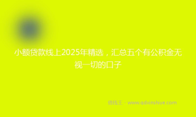 小额贷款线上2025年精选，汇总五个有公积金无视一切的口子