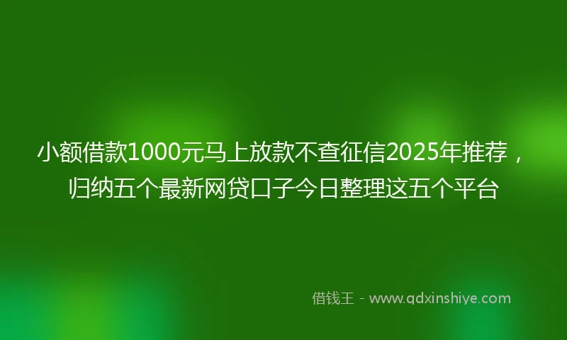 小额借款1000元马上放款不查征信2025年推荐，归纳五个最新网贷口子今日整理这五个平台