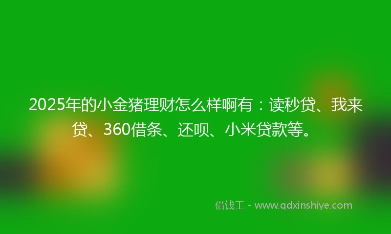 2025年的小金猪理财怎么样啊有：读秒贷、我来贷、360借条、还呗、小米贷款等。