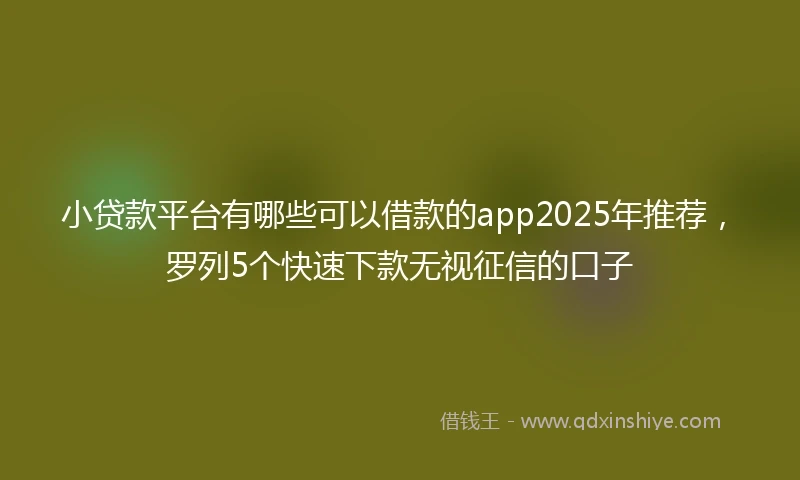 小贷款平台有哪些可以借款的app2025年推荐，罗列5个快速下款无视征信的口子
