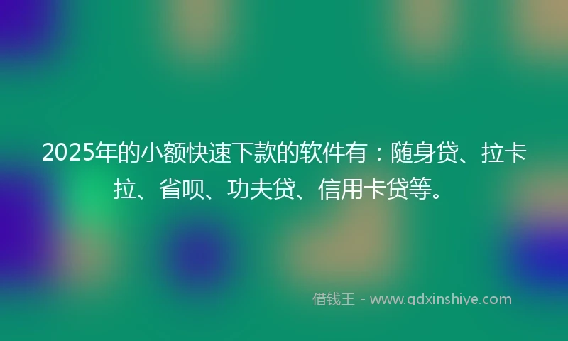2025年的小额快速下款的软件有：随身贷、拉卡拉、省呗、功夫贷、信用卡贷等。