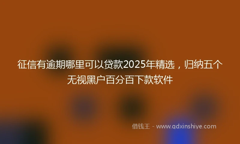 征信有逾期哪里可以贷款2025年精选,归纳五个无视黑户百分百下款软件