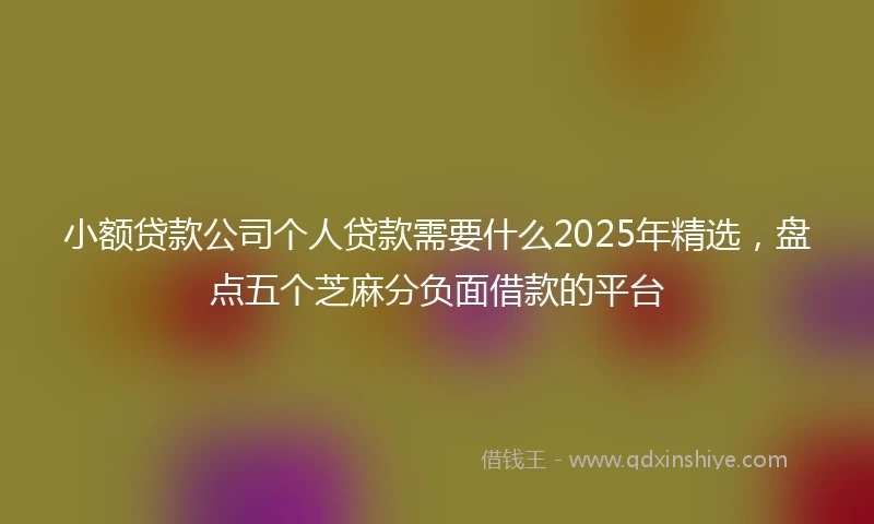 小额贷款公司个人贷款需要什么2025年精选，盘点五个芝麻分负面借款的平台