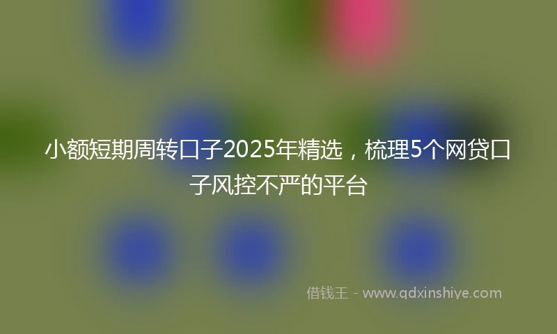 小额短期周转口子2025年精选，梳理5个网贷口子风控不严的平台
