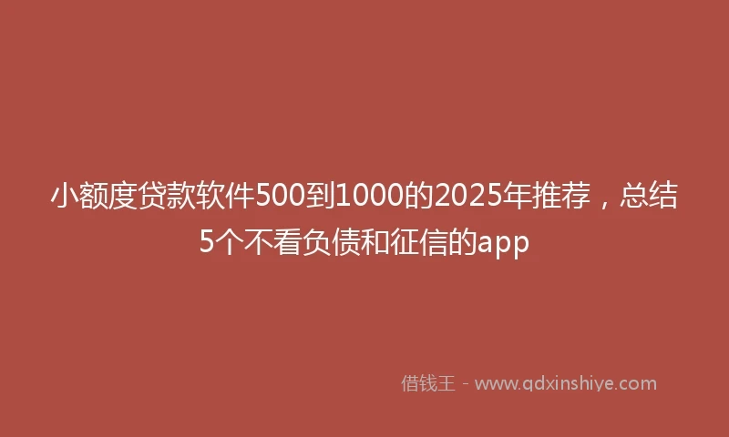 小额度贷款软件500到1000的2025年推荐，总结5个不看负债和征信的app