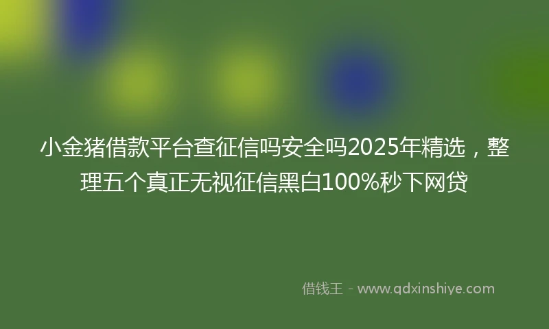 小金猪借款平台查征信吗安全吗2025年精选，整理五个真正无视征信黑白100%秒下网贷