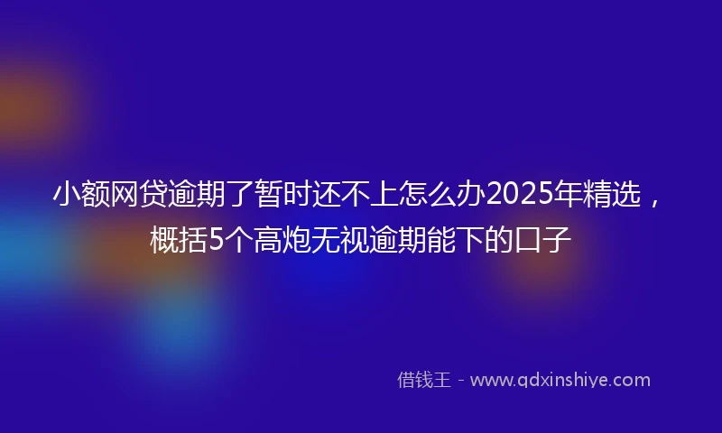 小额网贷逾期了暂时还不上怎么办2025年精选，概括5个高炮无视逾期能下的口子