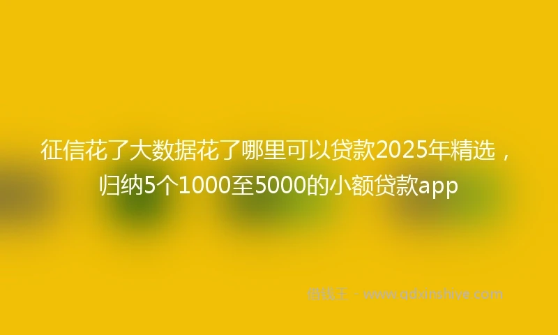 征信花了大数据花了哪里可以贷款2025年精选，归纳5个1000至5000的小额贷款app