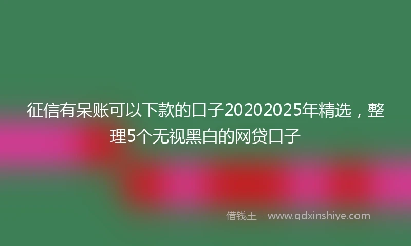 征信有呆账可以下款的口子20202025年精选，整理5个无视黑白的网贷口子
