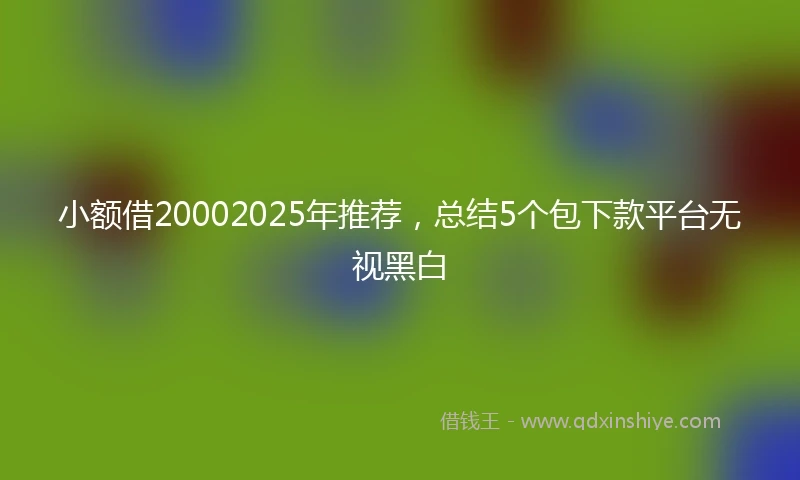 小额借20002025年推荐，总结5个包下款平台无视黑白