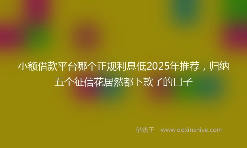 小额借款平台哪个正规利息低2025年推荐，归纳五个征信花居然都下款了的口子